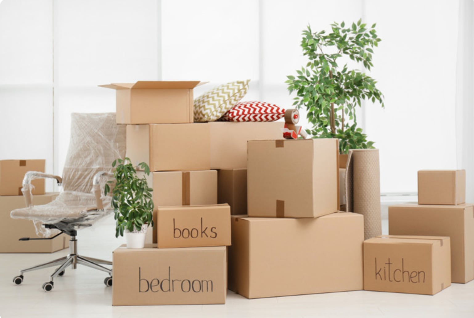 Preparing and organising for your move